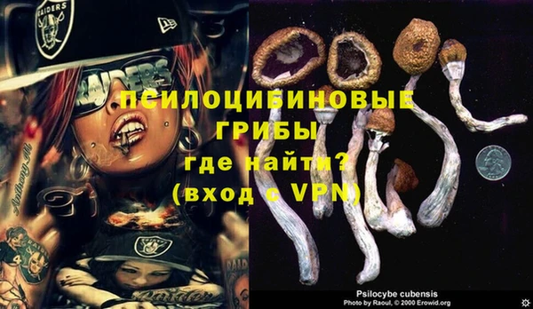 хмурый Балахна