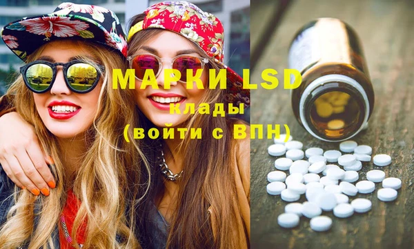 индика Баксан