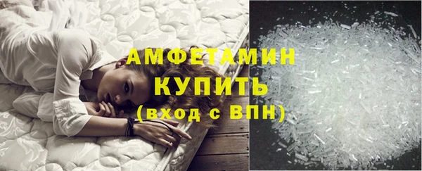 индика Баксан