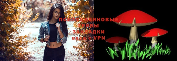 индика Баксан