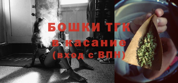 индика Баксан