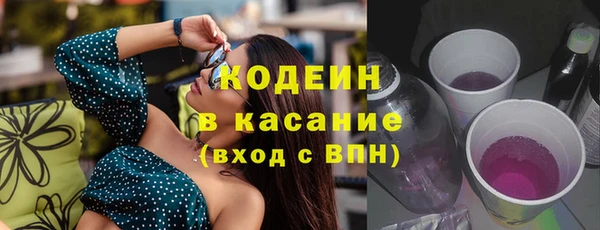 индика Баксан