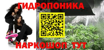 гашик Канаш