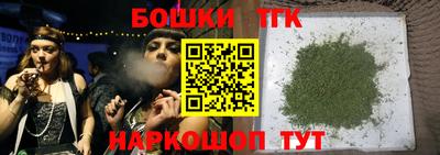 гашик Камышлов