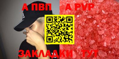 гашик Камышлов