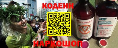 гашик Камышлов