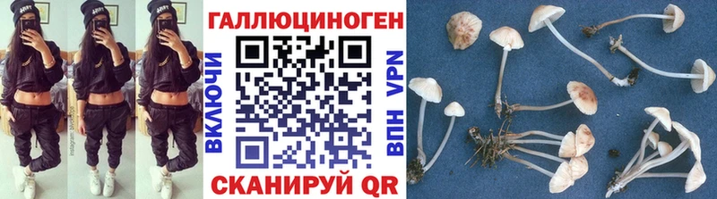 Галлюциногенные грибы мицелий  магазин    Новый Уренгой 