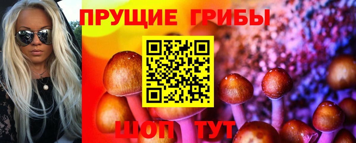 Галлюциногенные грибы ЛСД Новый Уренгой