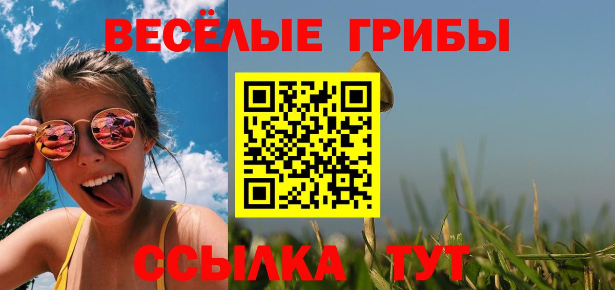 Псилоцибиновые грибы MAGIC MUSHROOMS  Вход с VPN  Новый Уренгой  Галлюциногенные грибы ЛСД 